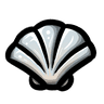 Seashell icon